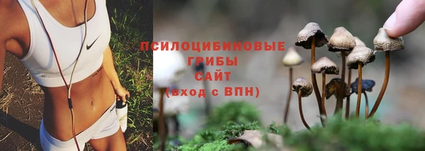 spice Алексин