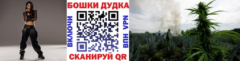 Каннабис сатива Салехард